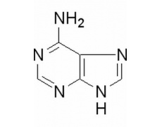 植物激素及核酸类