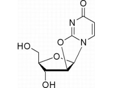 植物激素及核酸类