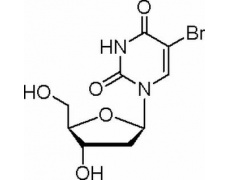 5-溴-2-脱氧尿苷