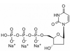 2′-脱氧尿苷-5′-三磷酸三钠盐
