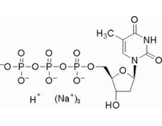 2′-脱氧胸苷-5′-三磷酸三钠盐