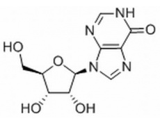 植物激素及核酸类