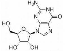 植物激素及核酸类
