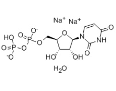 5-尿苷二磷酸