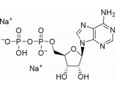 5-腺苷二磷酸二钠盐