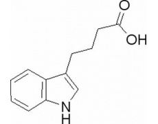 3-吲哚丁酸