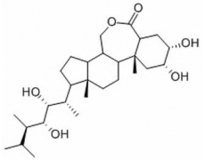 植物激素及核酸类
