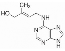 反玉米素