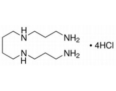 四盐酸精胺