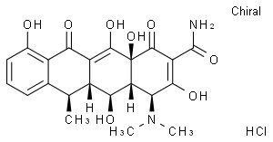抗体素类