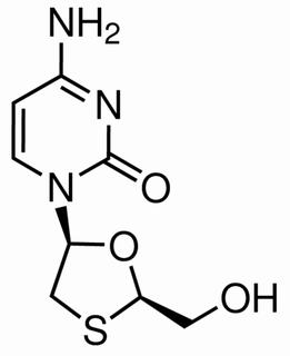 抗体素类