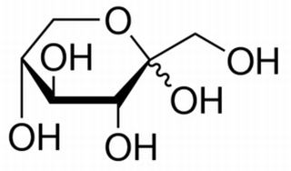 碳水化合物类