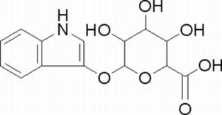 碳水化合物类