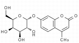碳水化合物类