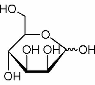 碳水化合物类