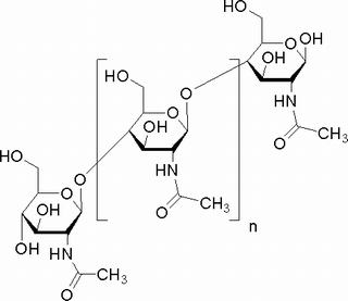 碳水化合物类