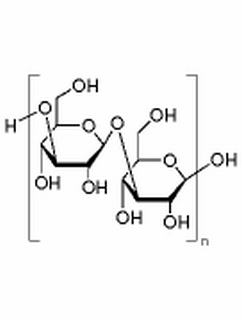 碳水化合物类