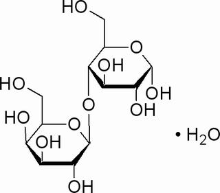 碳水化合物类