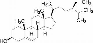 碳水化合物类