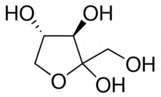 碳水化合物类