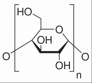 碳水化合物类