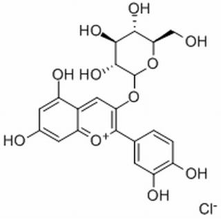 碳水化合物类