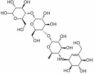 碳水化合物类