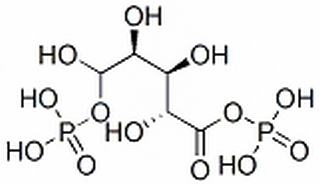 碳水化合物类