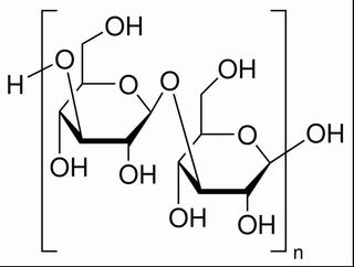 碳水化合物类