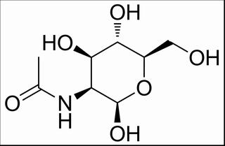 碳水化合物类
