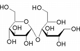 碳水化合物类