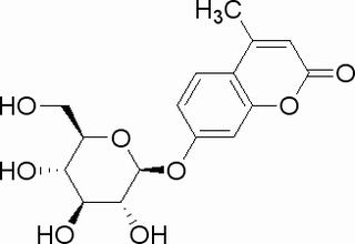 碳水化合物类