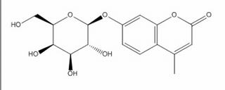 碳水化合物类