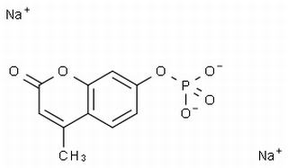 碳水化合物类