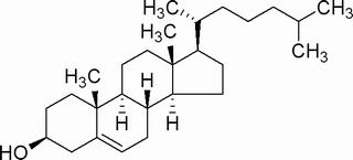 碳水化合物类