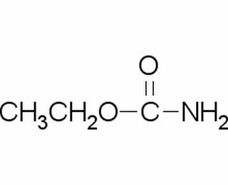 碳水化合物类