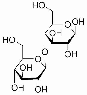 碳水化合物类