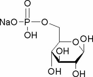 碳水化合物类