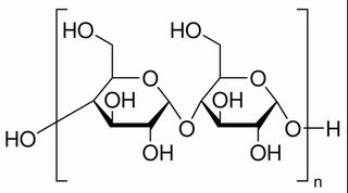 碳水化合物类