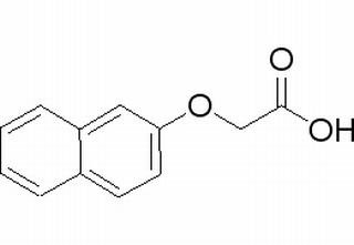 植物激素及核酸类