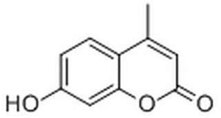 植物激素及核酸类