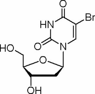 植物激素及核酸类
