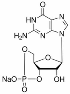 植物激素及核酸类