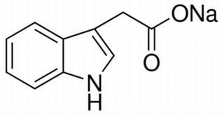 植物激素及核酸类