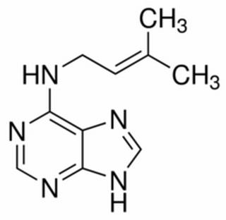 植物激素及核酸类