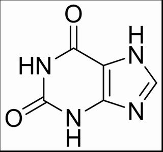 植物激素及核酸类