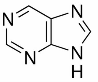 植物激素及核酸类