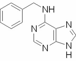 植物激素及核酸类