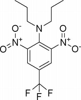 植物激素及核酸类