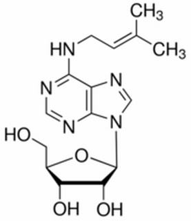 植物激素及核酸类